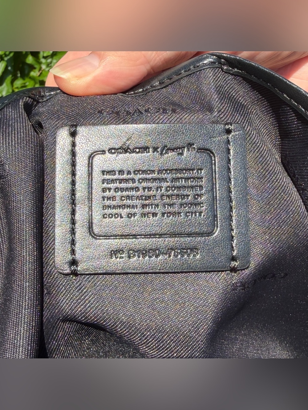 NWT Coach Pouch 30 With Rexy By Guang Yu 75508 - Picture 10 of 12